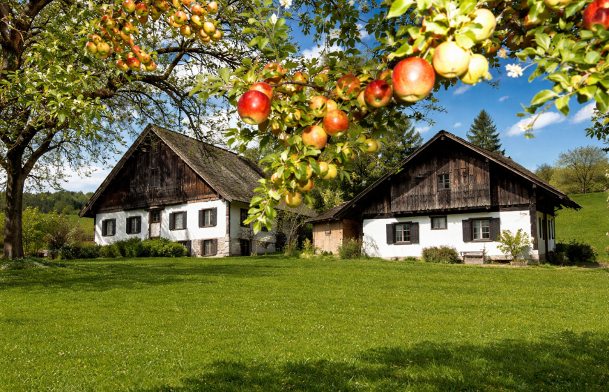 Gruppenhäuser in Österreich