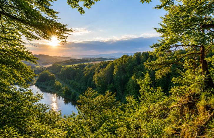 Gruppenhäuser im Harz