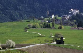 Gruppenhäuser in Rodeneck im Südtirol