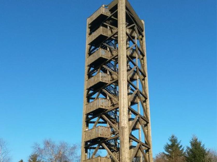 www.hochsolling.de