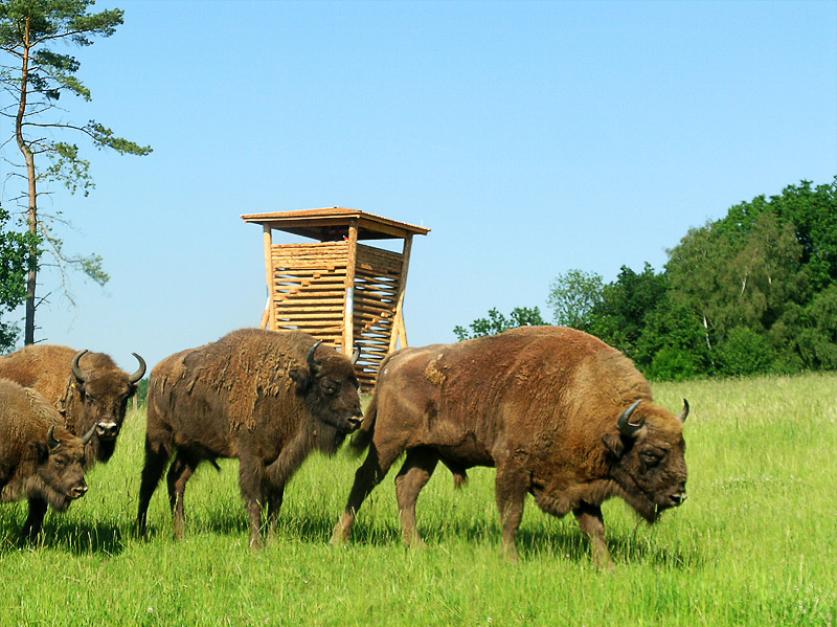 https://www.wald-und-holz.nrw.de