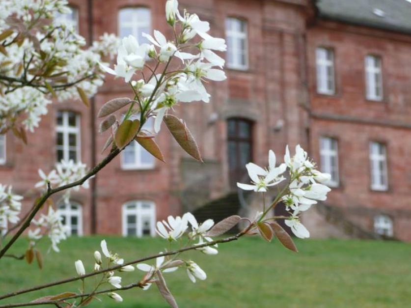 Luftkurort Trippstadt Tourist Information