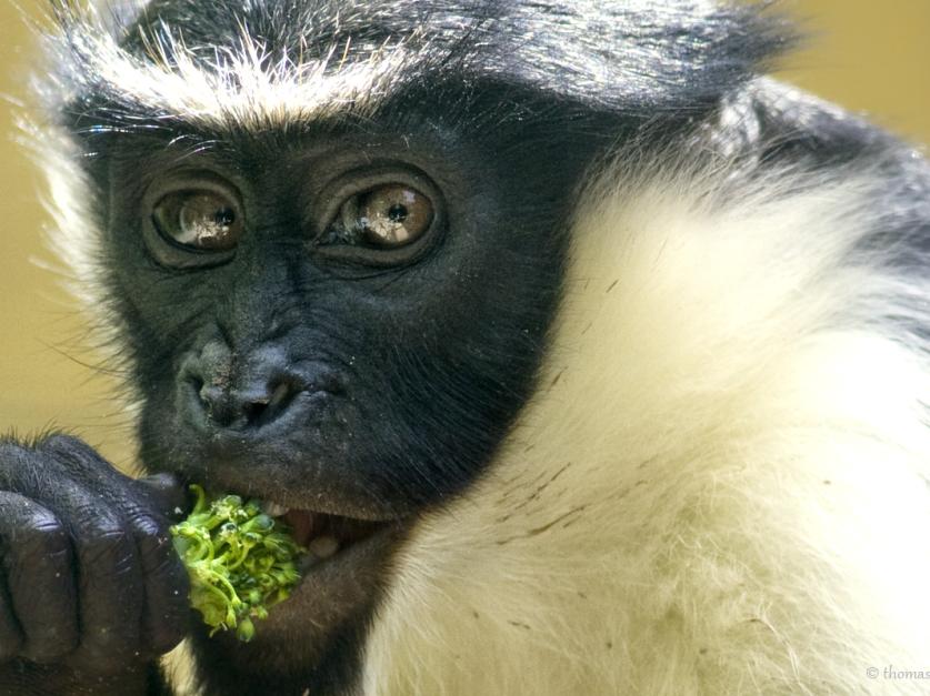 Zoo Aschersleben