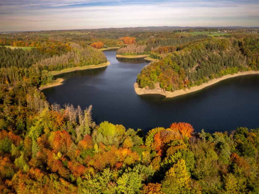 Holger Hage / CC-BY-SA (via Wikimedia Commons)