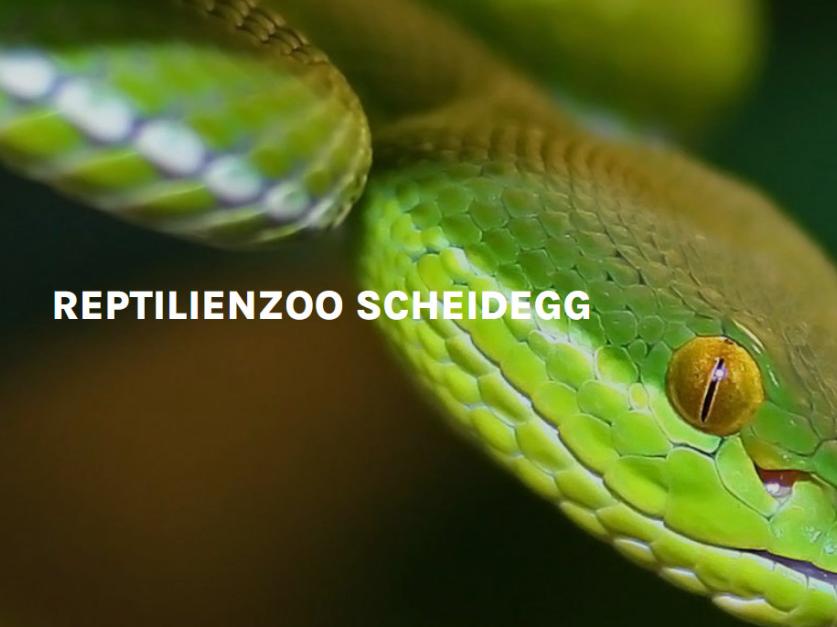 https://www.reptilienzoo-scheidegg.com