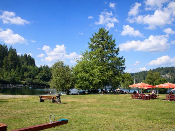 Schwarzwald Tourismus GmbH