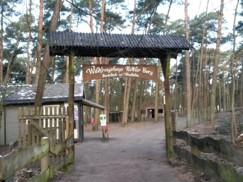 Wildfreigehege Nöttler Berg