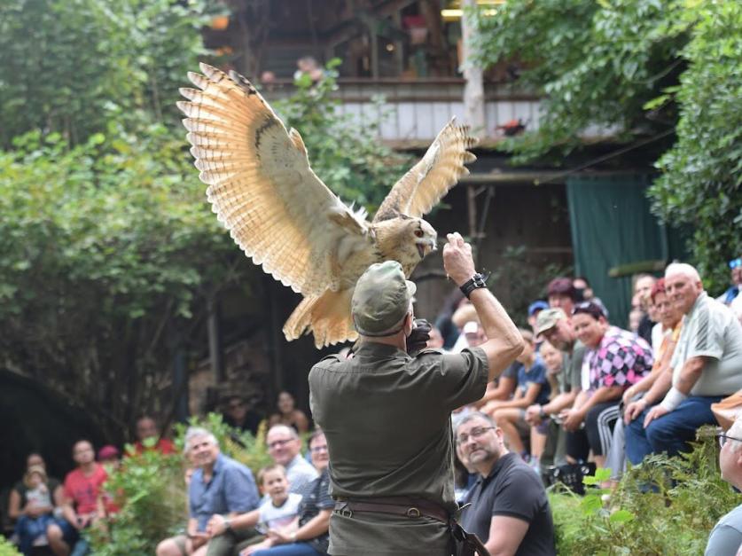 Greifvogelpark Grafenwiesen