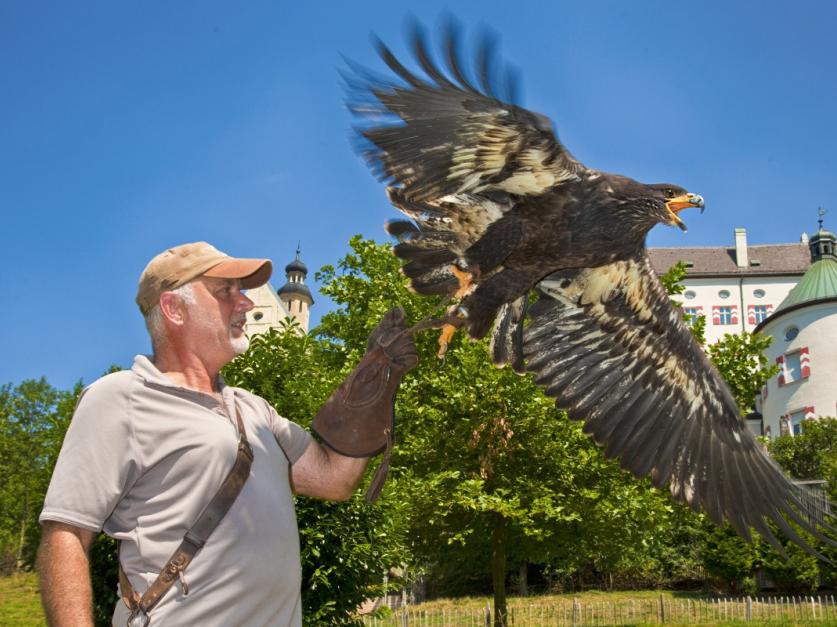 Chiemsee-Alpenland Tourismus