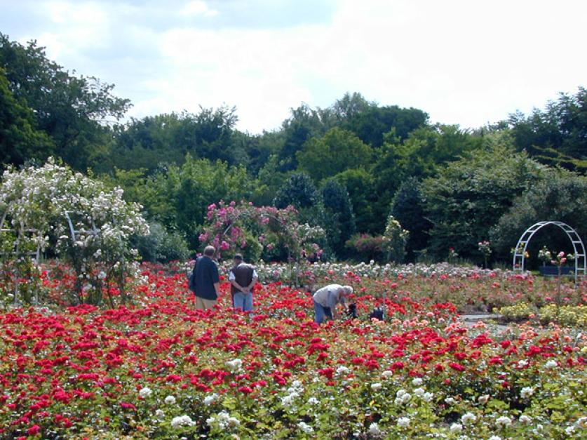 Grugapark Essen