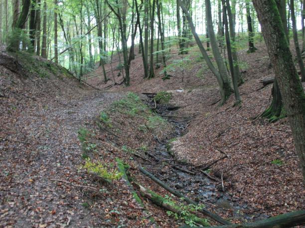 https://www.naturparkbergischesland.de
