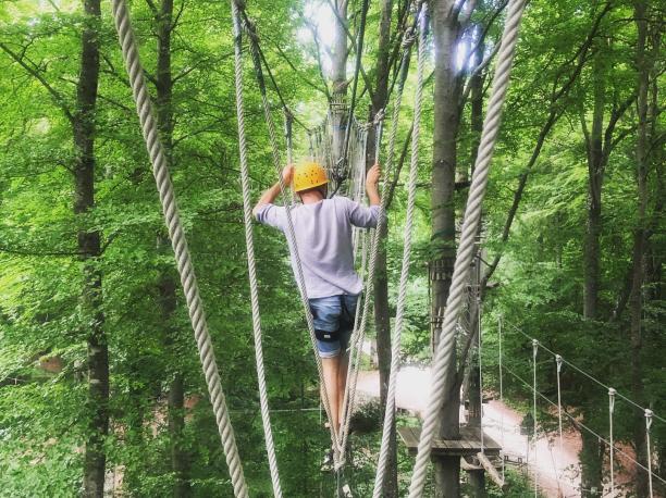 www.kletterpark-waldheim.de