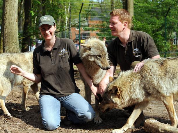 Wolfcenter Dörverden