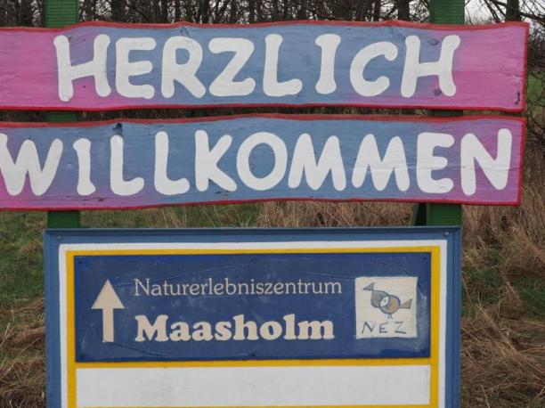 Naturerlebniszentrum Maasholm (NEZ)