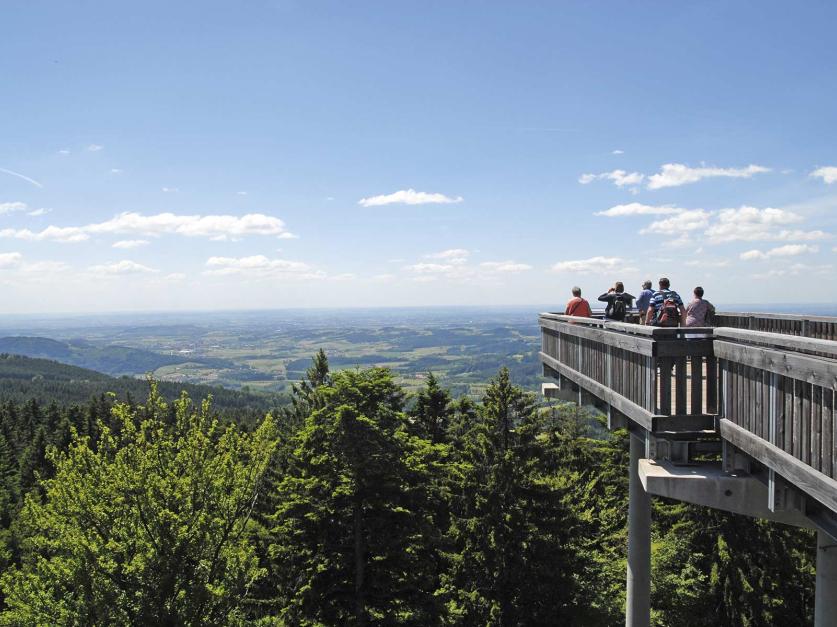 https://www.waldwipfelweg.de