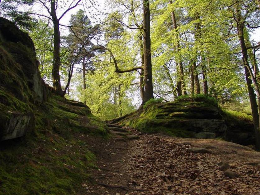 https://www.kirkel.de/burgpanorama-weg