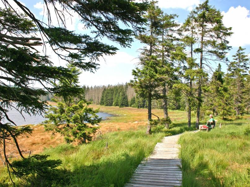 https://www.nationalpark-harz.de