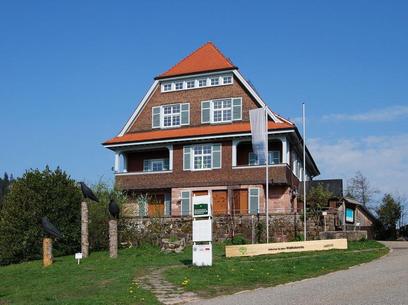 Felix König, lizenziert CC BY 3.0 Wikimedia