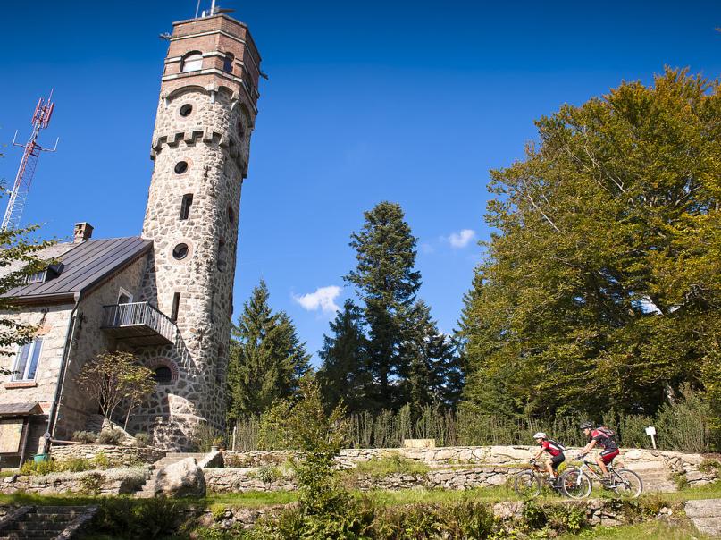 Mühlviertler Granitland