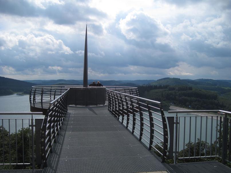 Asio otus / CC BY-SA 3.0 (Wikimedia Commons)