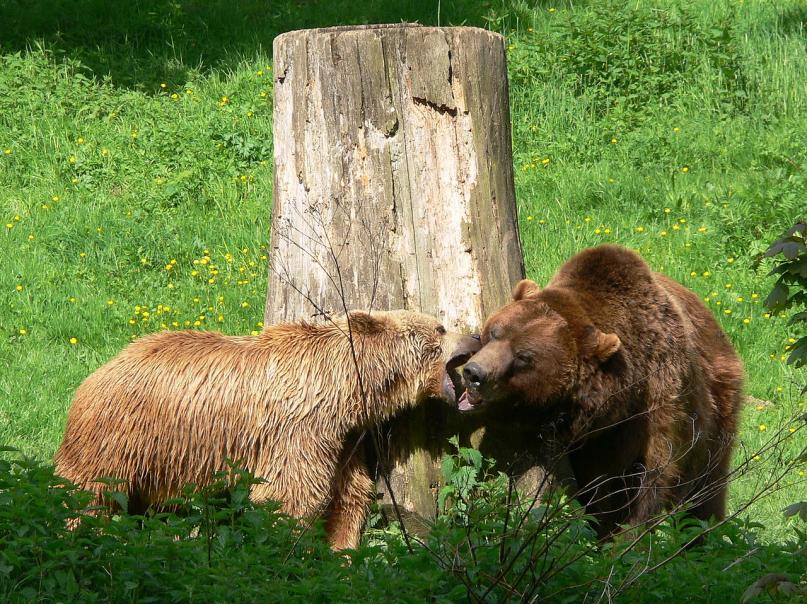 von G8w, CC BY-SA 3.0