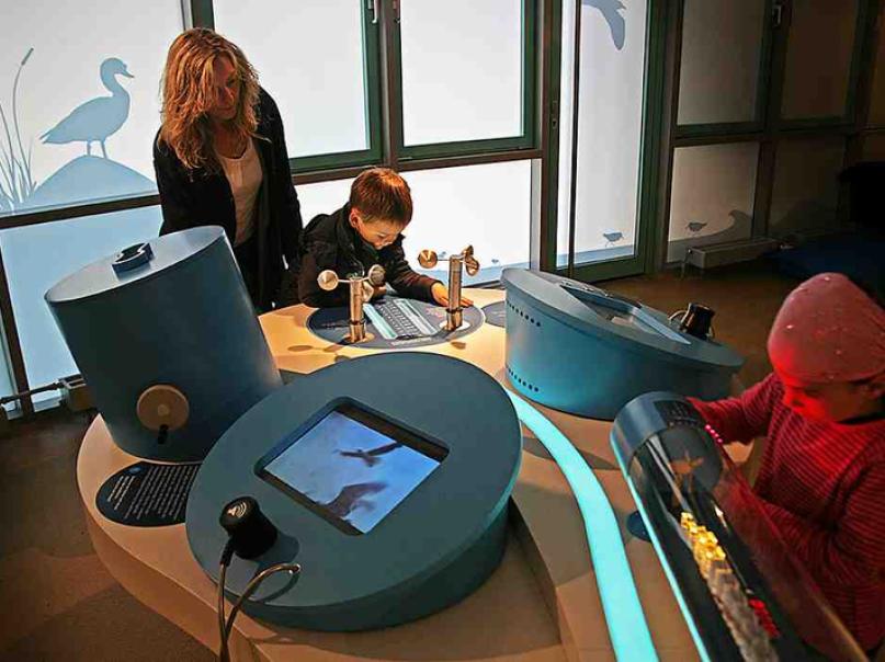 Schutzstation Wattenmeer