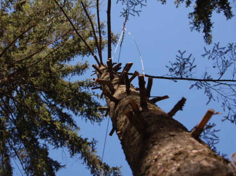 Naturhochseilgarten Wildschönau