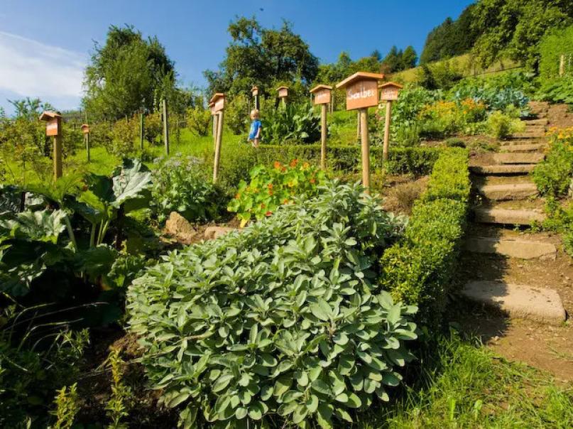Ferienlandschaft Mittlerer Schwarzwald / Ralph Weber © 