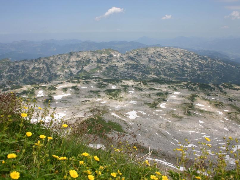 Kai Brühne, CC BY-SA 3.0