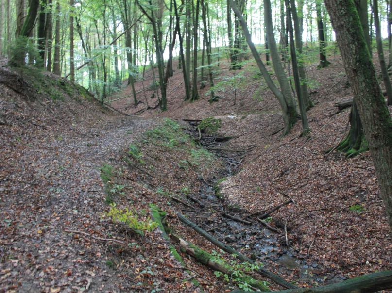 https://www.naturparkbergischesland.de