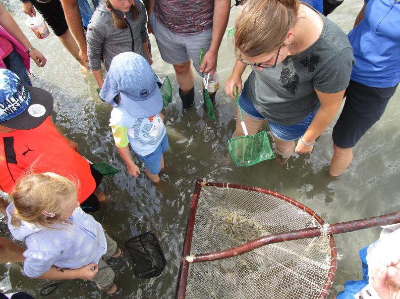 Wattführergemeinschaft Dithmarscher Nordseeküste