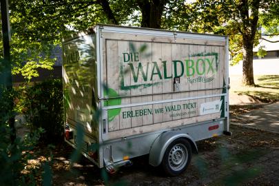 Waldbox