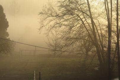Das Gelände im Nebel