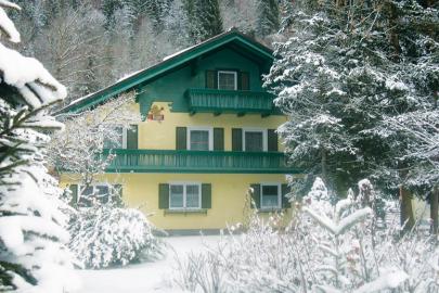 Ferienhaus Ski amadé