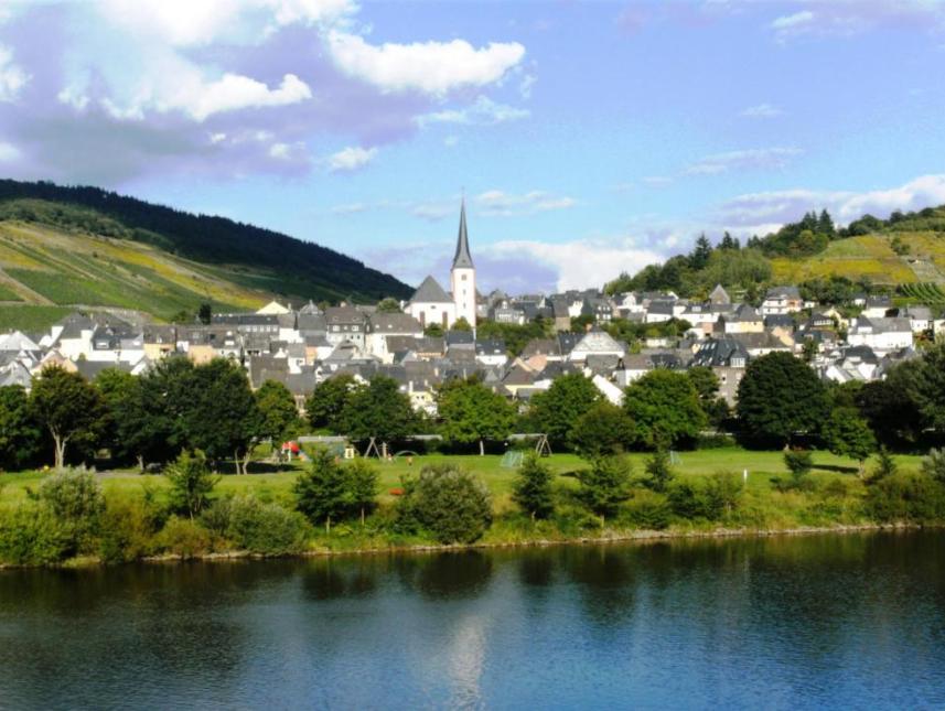 Panoramablick vom überdachten Moselbalkon