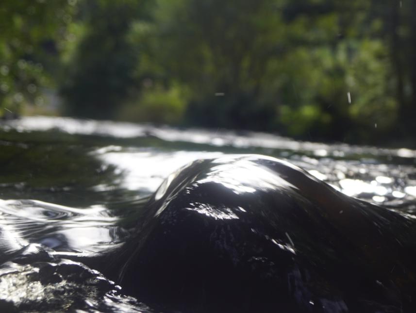 Wasser fließt in der Pockau sanft über einen Stein
