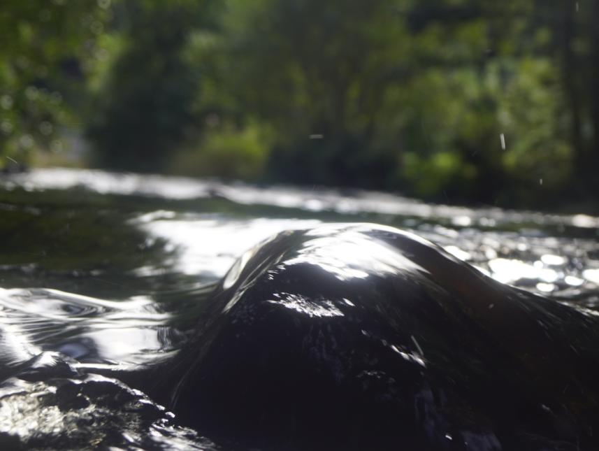Wasser fließt in der Pockau sanft über einen Stein