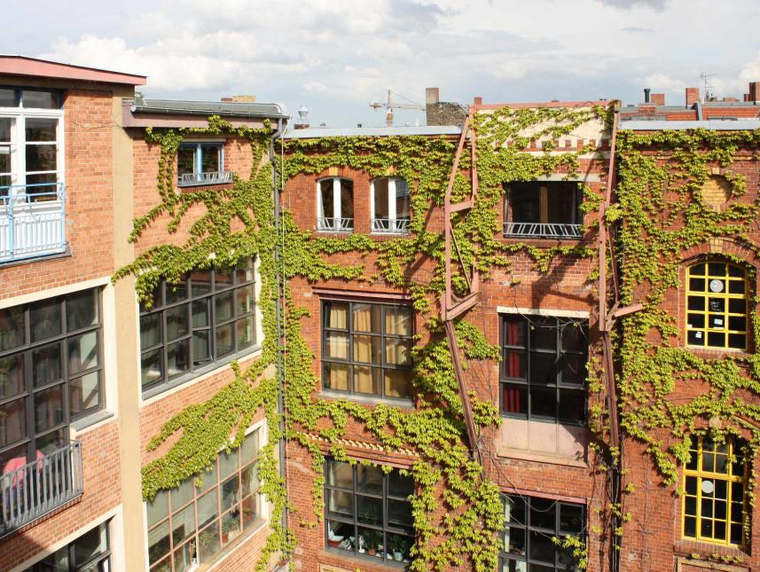 Fenster zum Innenhof