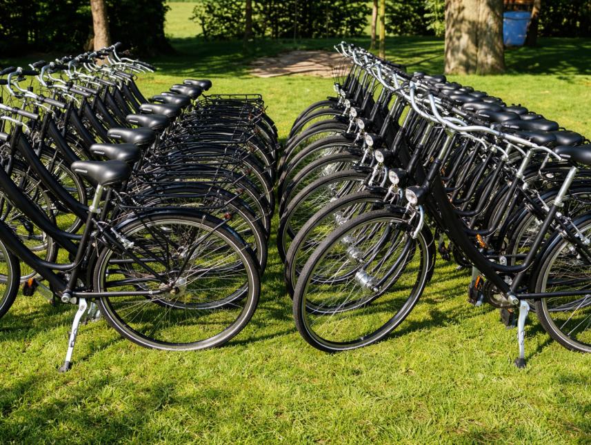 Fahrradverleih für einen Ausflug in die Umgebung