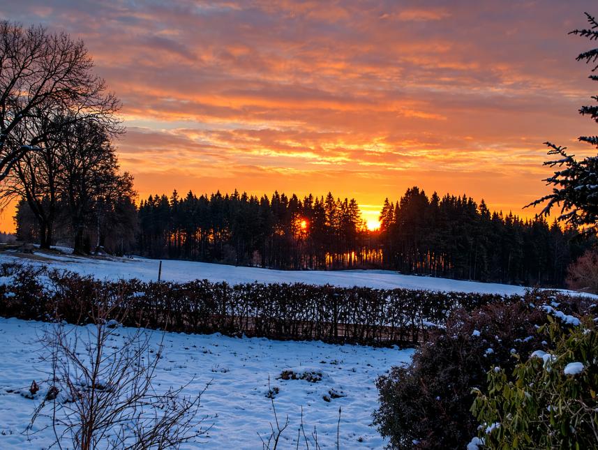 vom Fenster OG Richtung Osten