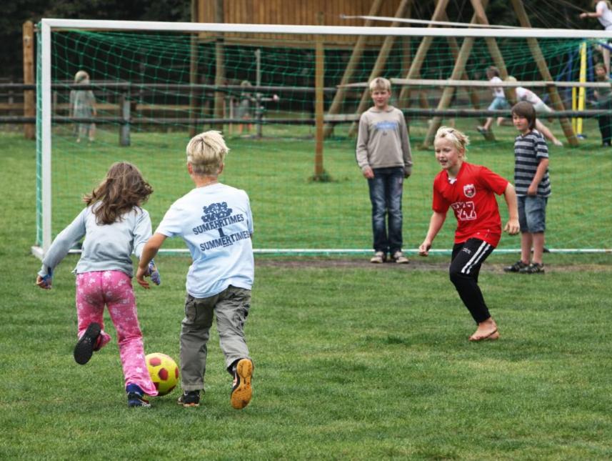 Fußballplatz, Bolzplatz