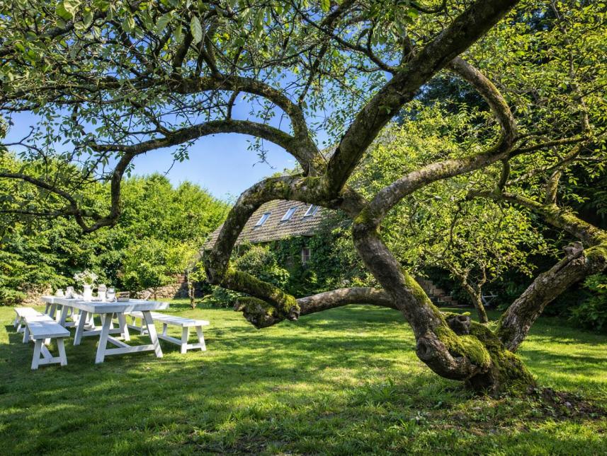 Der große Garten mit alten Obstbäumen lädt zum entspannen ein.