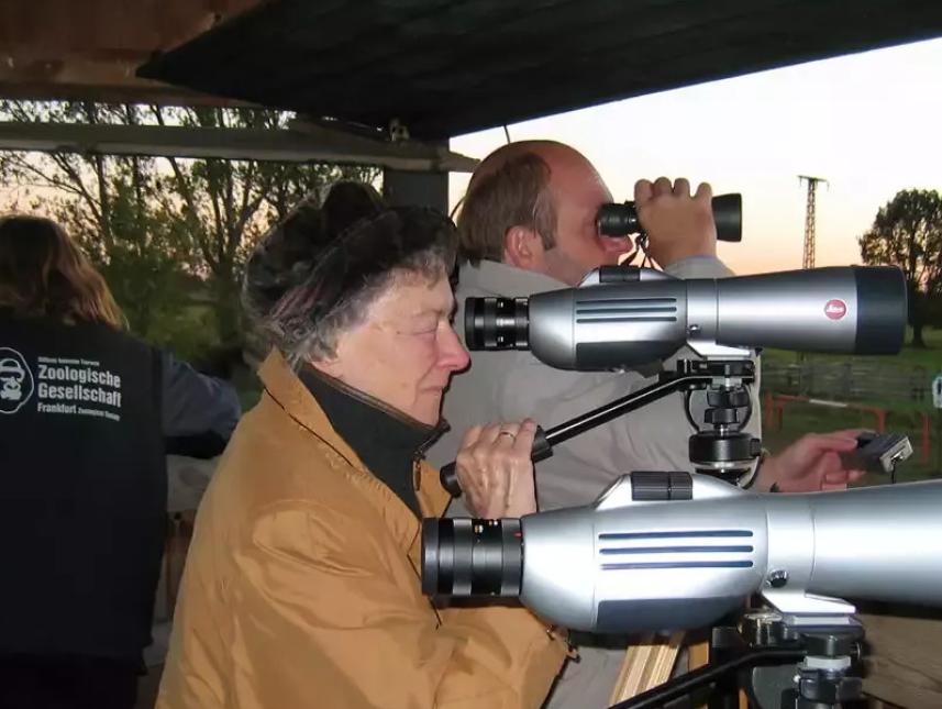 Elbe-Safari zu den "big five" - Biber, Otter, Storch, Kranich, Adler