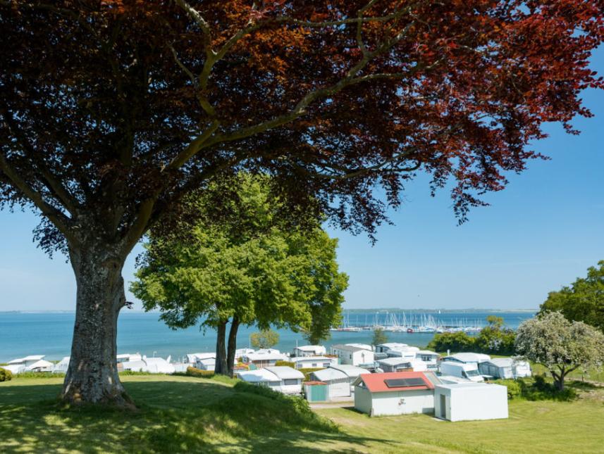 Aussicht über den Campingplatz bis nach Dänemark