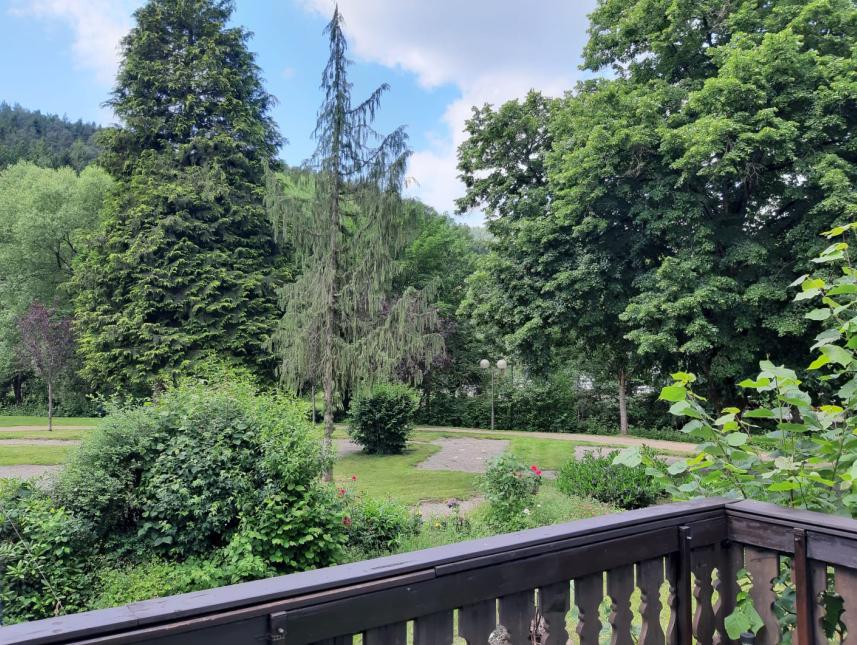 Ausblick von der Terrasse