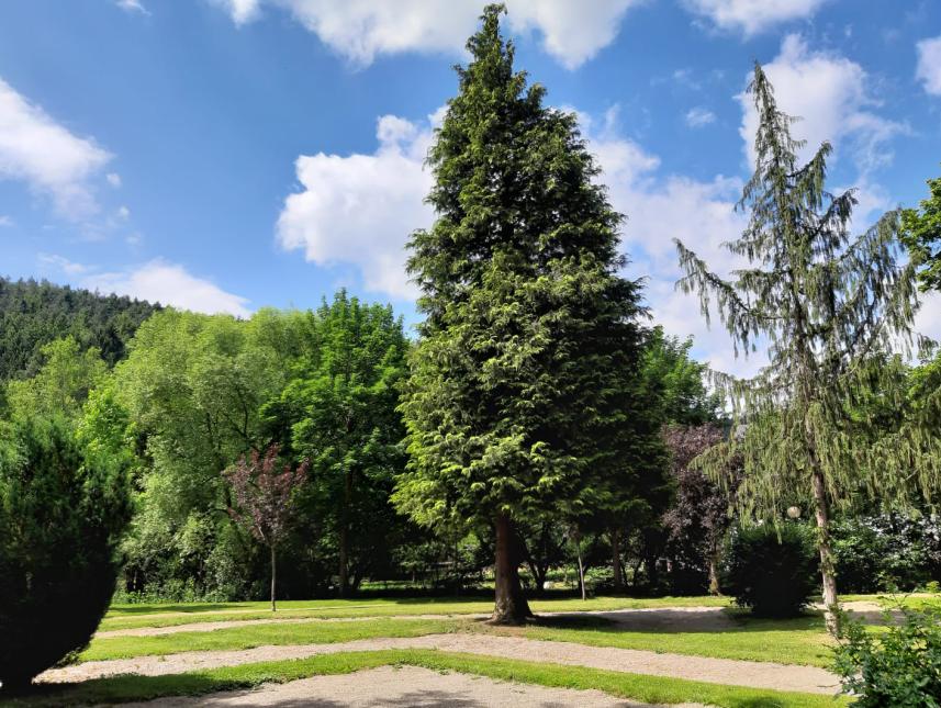 Kurpark direkt hinter dem Haus mit Minigolfplatz (Neueröffnung August 2024)