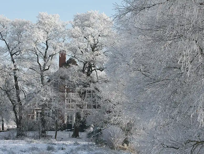 Erlenhof im Schnee