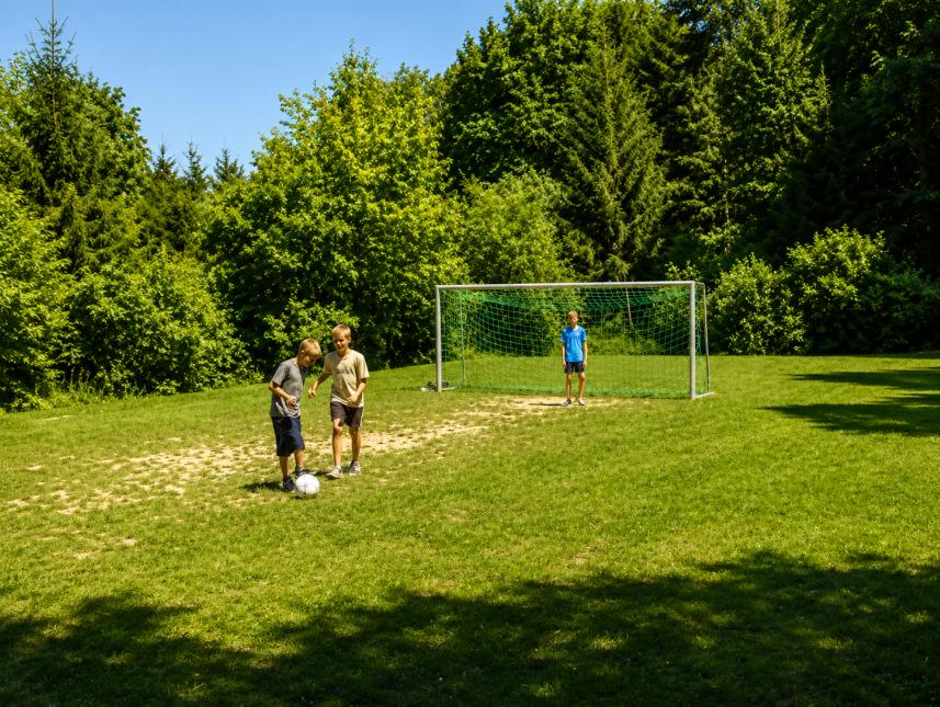 Fußballwiese (2000 m²)
