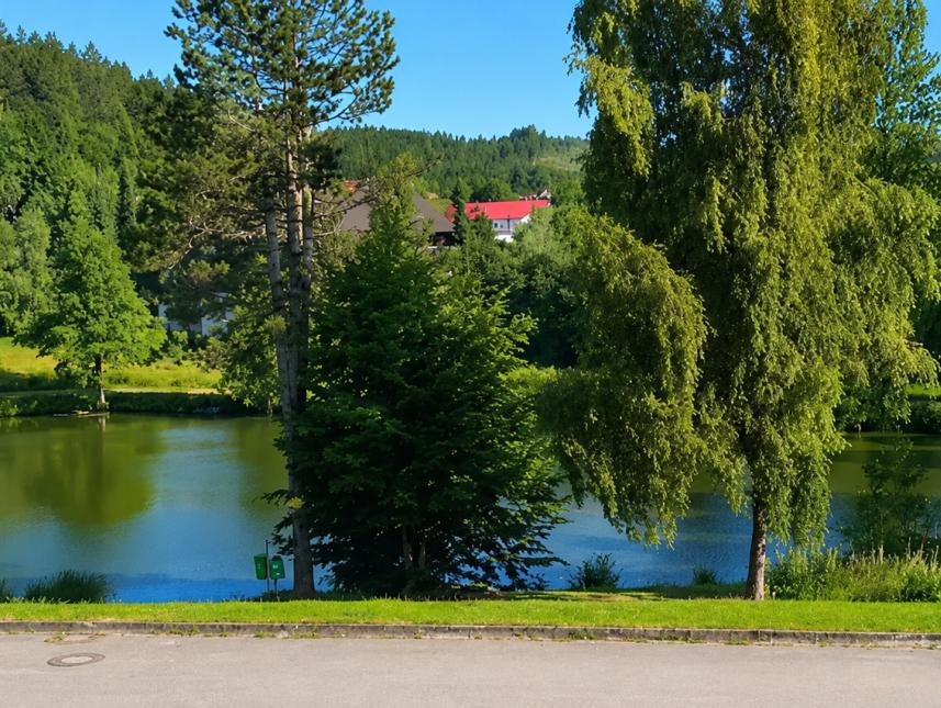 Kleiner Natur-See in unmittelbarer Nachbarschaft