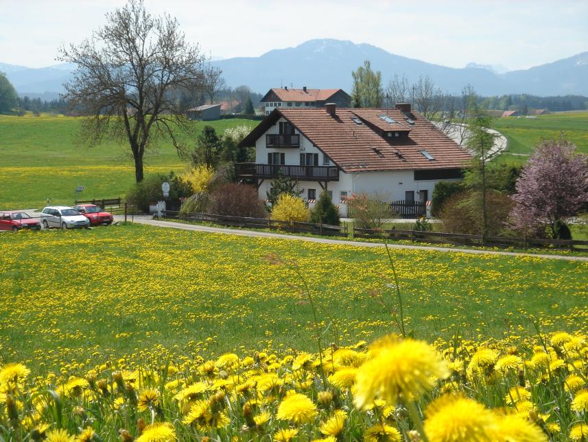 Gruppenhaus-Alpen im Allgäu